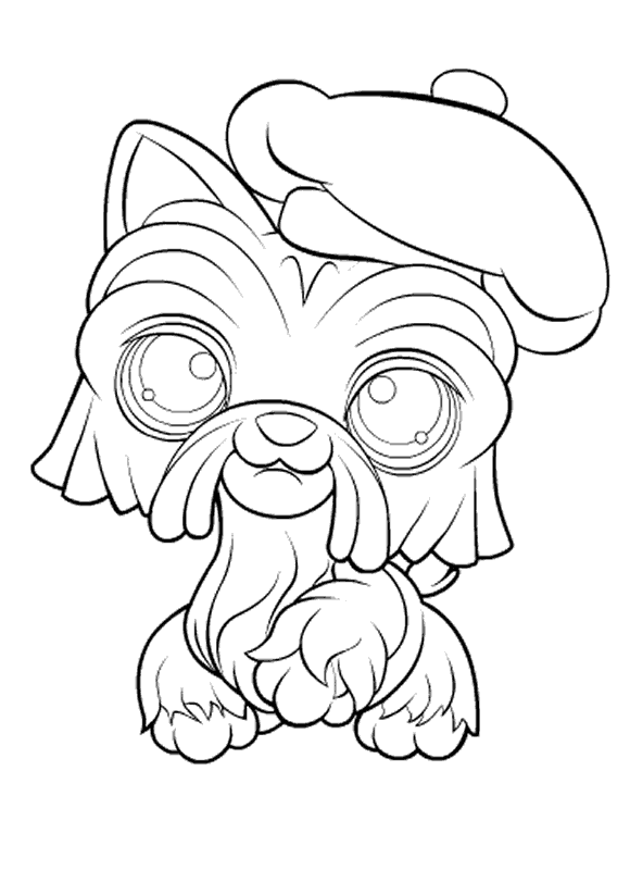 coloriage pet shop chien frise et son beret